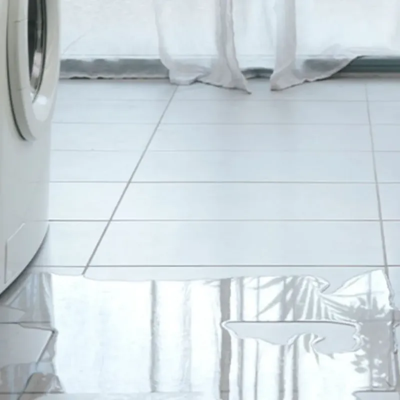 Appliance Leak Cleanup in Wedgewood, SC