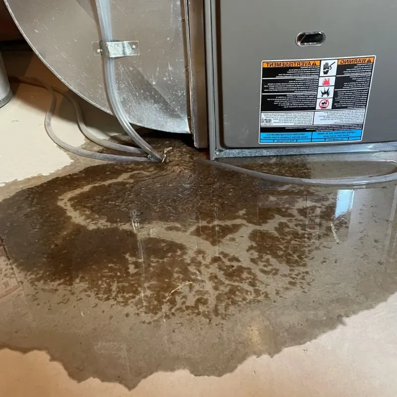 Pipe Burst and Leak Restoration in Wedgewood, SC