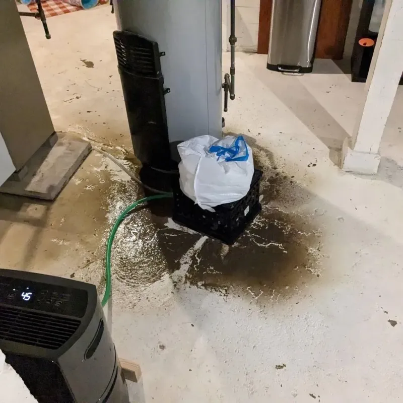 Sewage Backup Cleanup Service in Wedgewood, SC